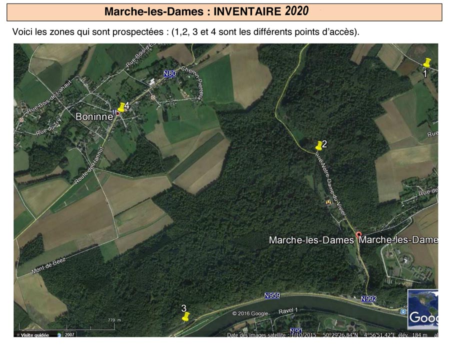 Groupe d'Inventaire du Bois de Marche-les-Dames