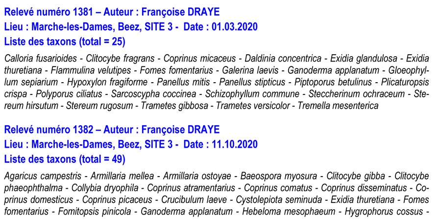 Groupe d'Inventaire du Bois de Marche-les-Dames