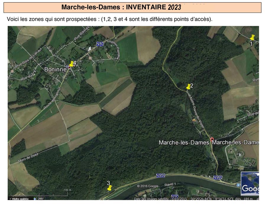 Groupe d'Inventaire du Bois de Marche-les-Dames (GIBMLD)