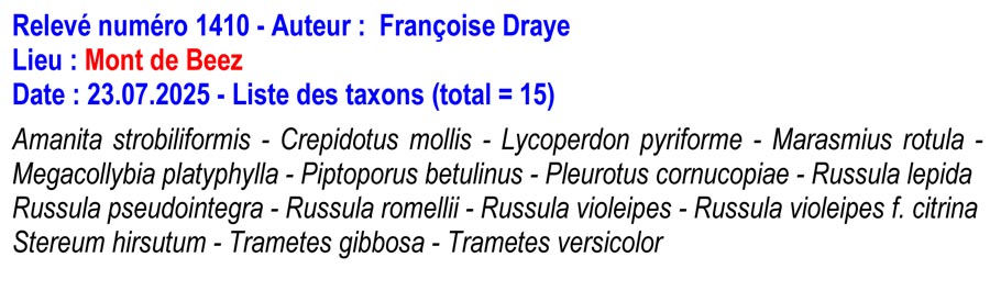 Groupe d'Inventaire du Bois de Marche-les-Dames (GIBMLD)