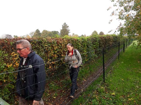 Groupe d'Inventaire du Bois de Marche-les-Dames