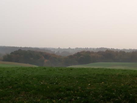 Groupe d'Inventaire du Bois de Marche-les-Dames