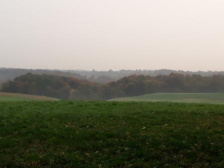 Groupe d'Inventaire du Bois de Marche-les-Dames