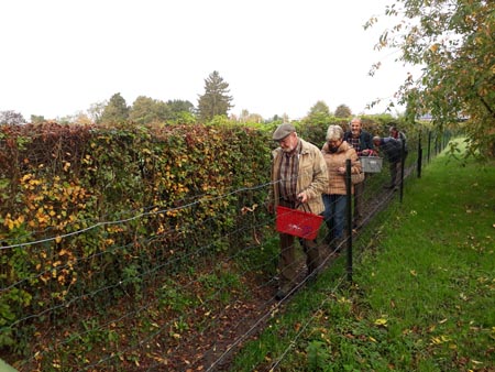 Groupe d'Inventaire du Bois de Marche-les-Dames