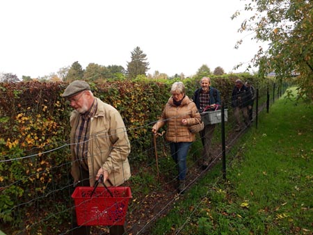 Groupe d'Inventaire du Bois de Marche-les-Dames