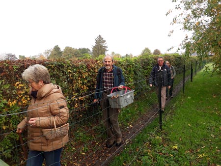 Groupe d'Inventaire du Bois de Marche-les-Dames