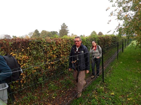 Groupe d'Inventaire du Bois de Marche-les-Dames