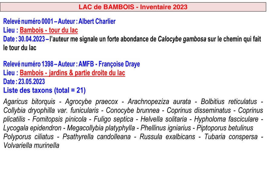 Groupe d'Inventaire du Lac de Bambois (GILB)