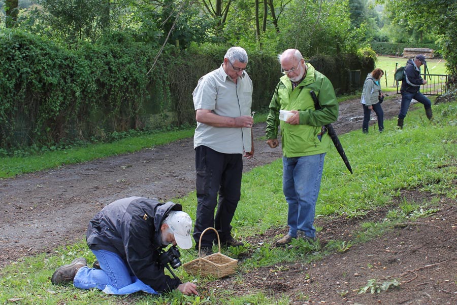 Photos - Bambois 2014