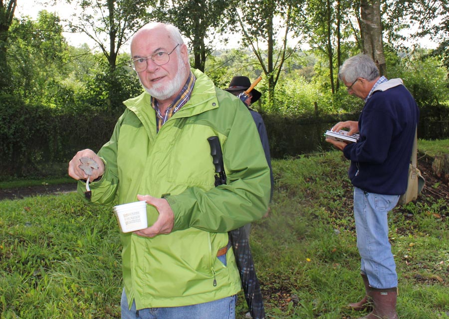 Photos - Bambois 2014