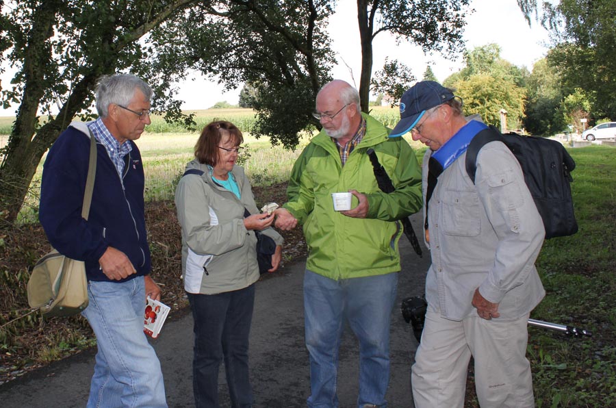 Photos - Bambois 2014