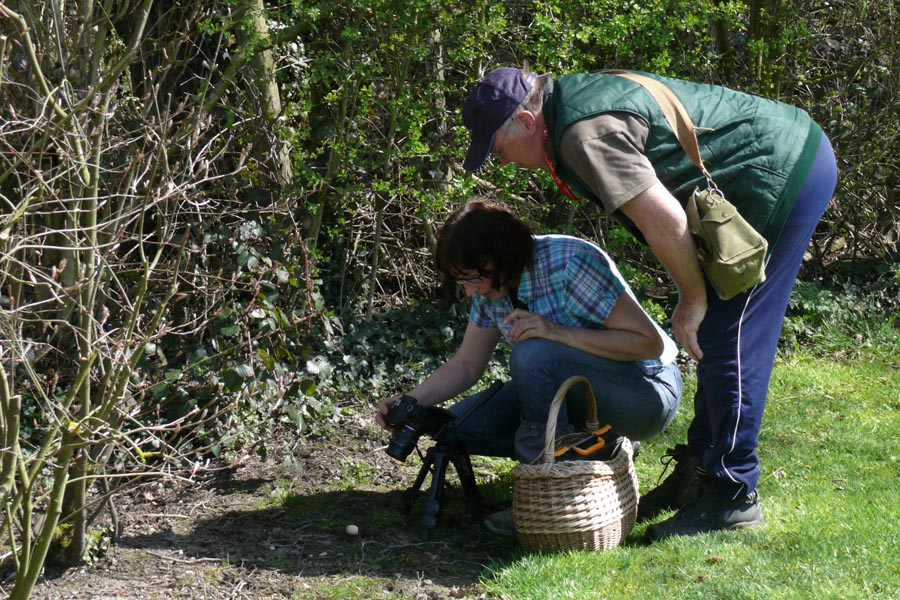 Photos - Bambois 2014