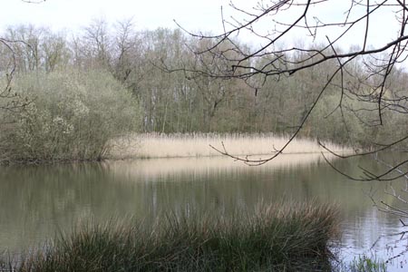 Groupe d'Inventaire du Lac de Bambois