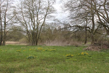 Groupe d'Inventaire du Lac de Bambois