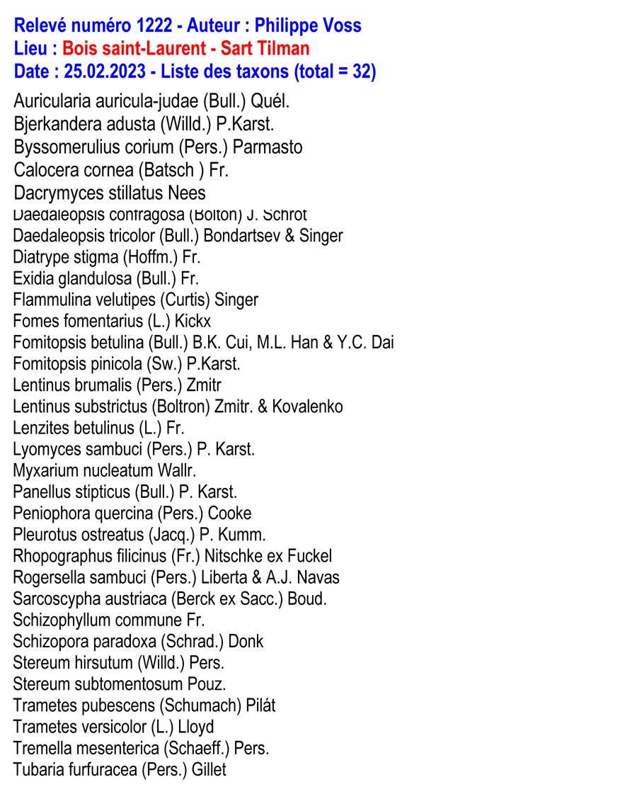 Groupe d’Inventaire des champignons de Wallonie