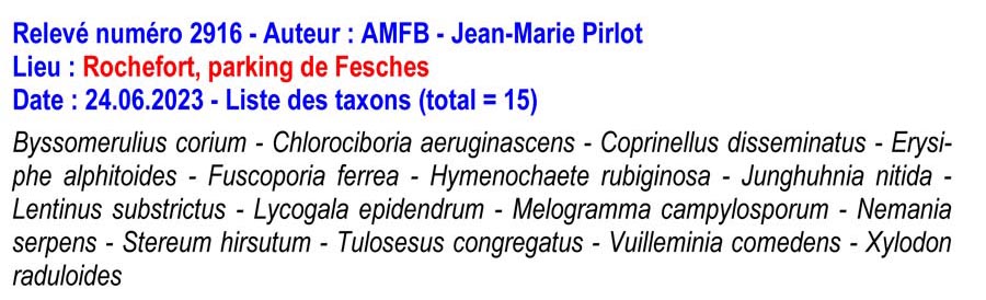 Groupe d’Inventaire des champignons de Wallonie