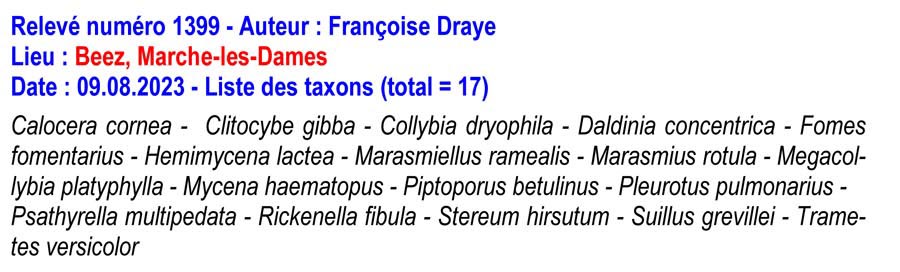 Groupe d’Inventaire des champignons de Wallonie