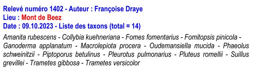 Groupe d’Inventaire des champignons de Wallonie