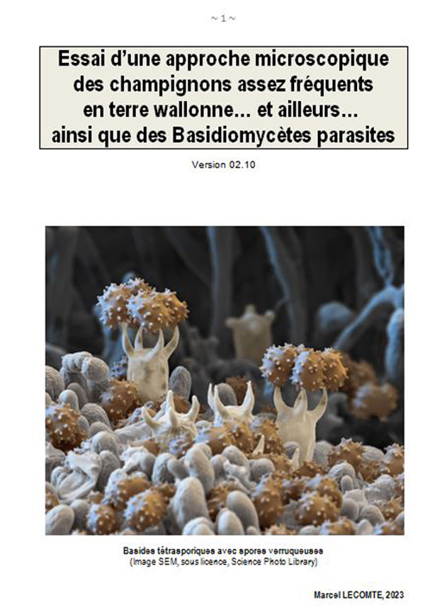 ESSAI D’UNE APPROCHE MICROSCOPIQUE DES CHAMPIGNONS LES PLUS COURANTS EN TERRE WALLONNE (M. Lecomte)