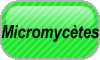 Micromycetes/micromycetes.html