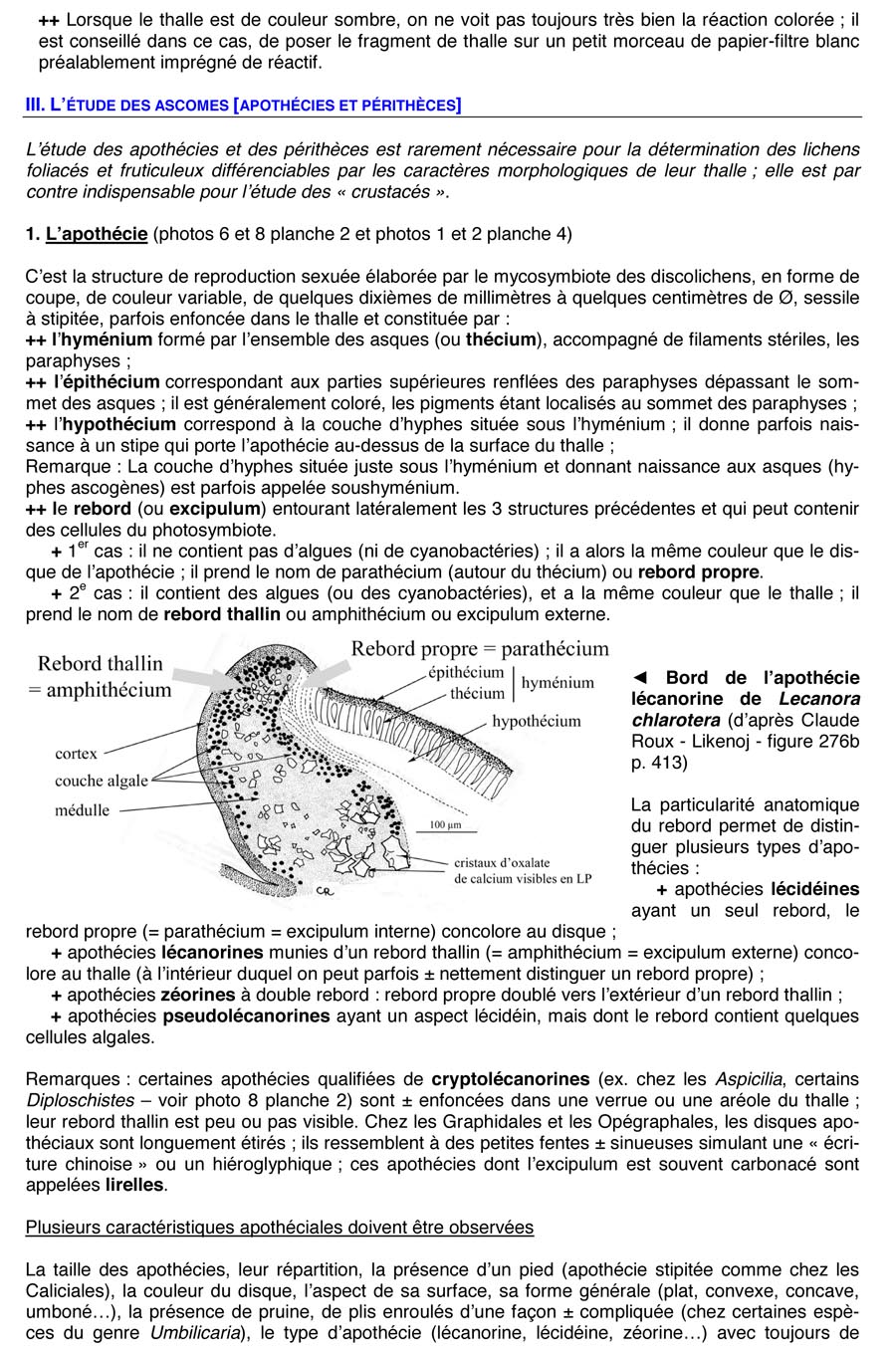 Les lichens (JP. Gavériaux)