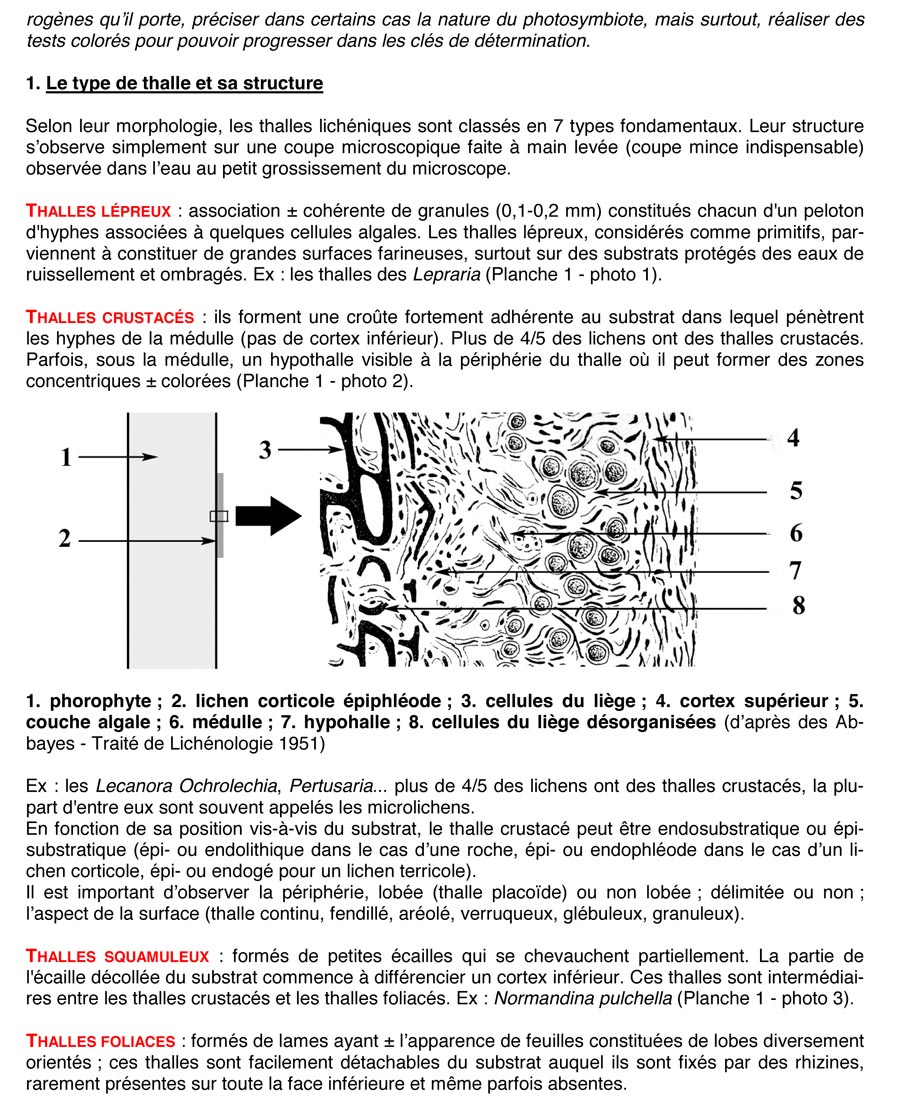 Les lichens (JP. Gavériaux)