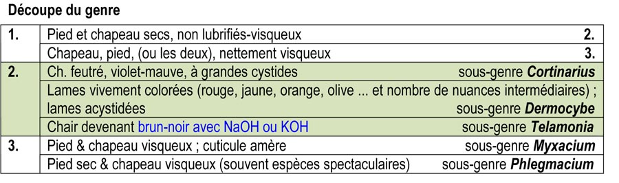 Le genre CORTINARIUS