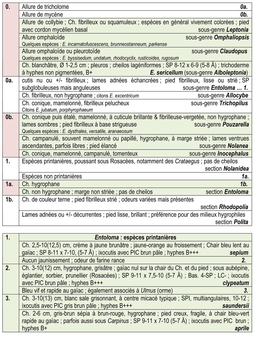 L’étude de ce genre s’avère très complexe et demande une longue expérience ; l’usage du microscope est indispensable à la détermination. On les rencontre dans tous types de biotopes. Ils se caractérisent par des lames roses, présentant tous les types d’attache, de libres à décurrentes, avec souvent présence de cystides pigmentées dans la trame, qui est régulière ; sporée rose ; spores anguleuses, souvent polyédriques, à parois épaisses ; basides 2-(parfois) & 4-sporiques ; cutis variable (à hyphes parallèles, ou trichodermique), avec hyphes diversement incrustées ou pigmentées. 