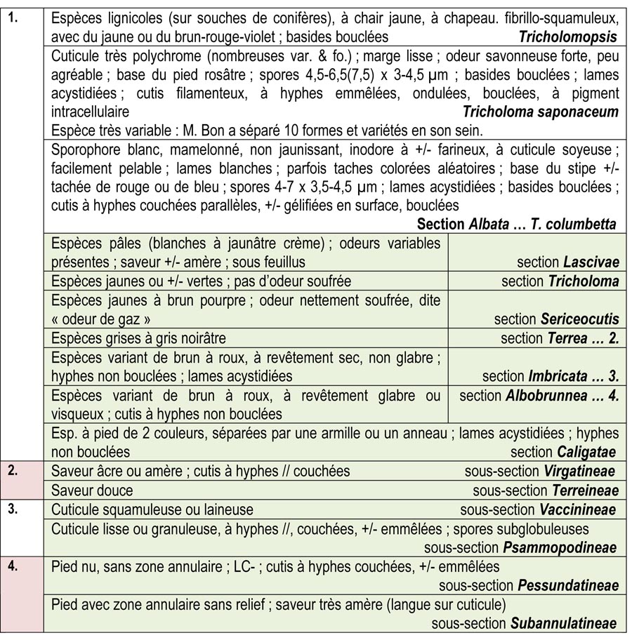 Le genre Tricholoma