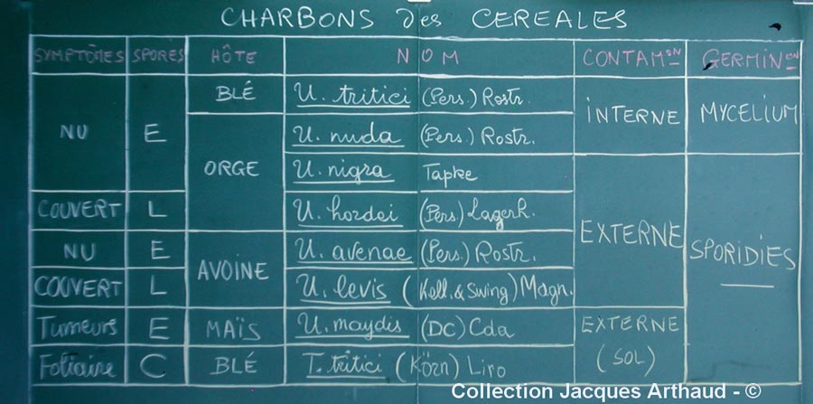 Tableau des charbons des céréales