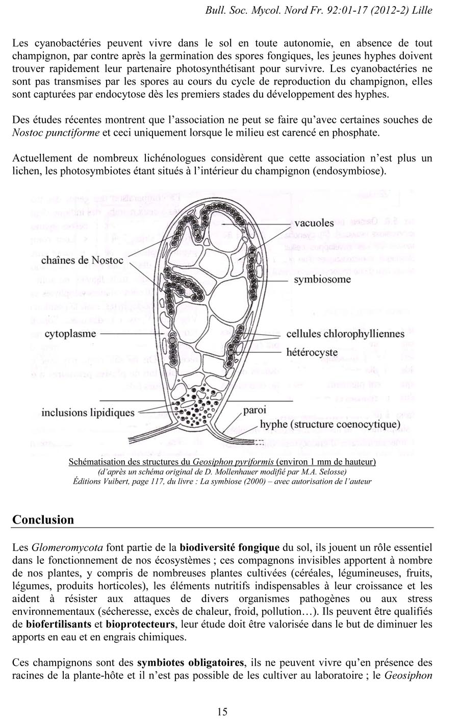 Gloméromycètes