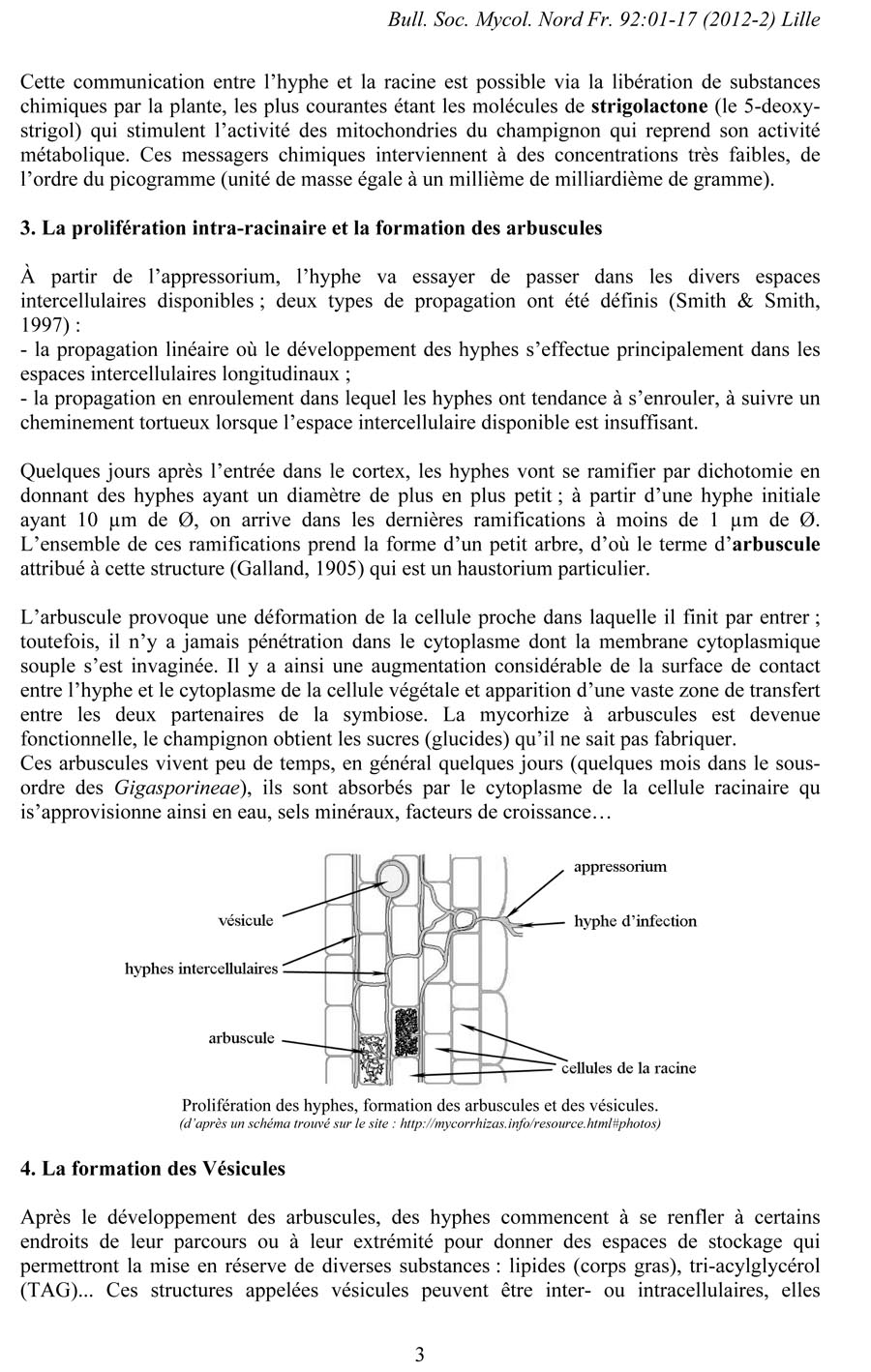 Gloméromycètes