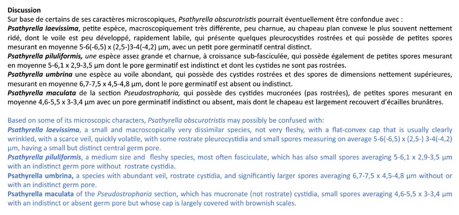 Psathyrella obscurotristis