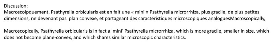 Psathyrella orbicularis