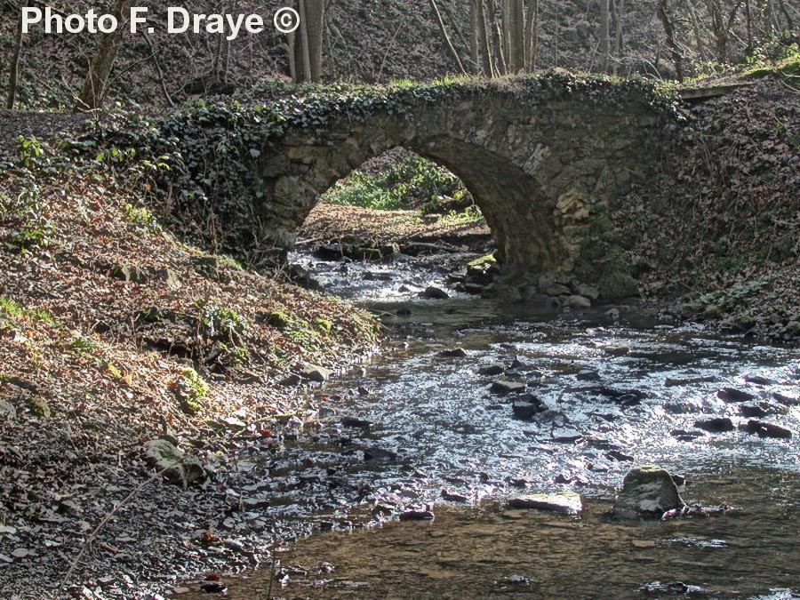 Ruisseau de Solière (F. Draye)