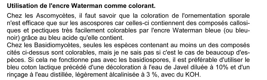 encre Watermann