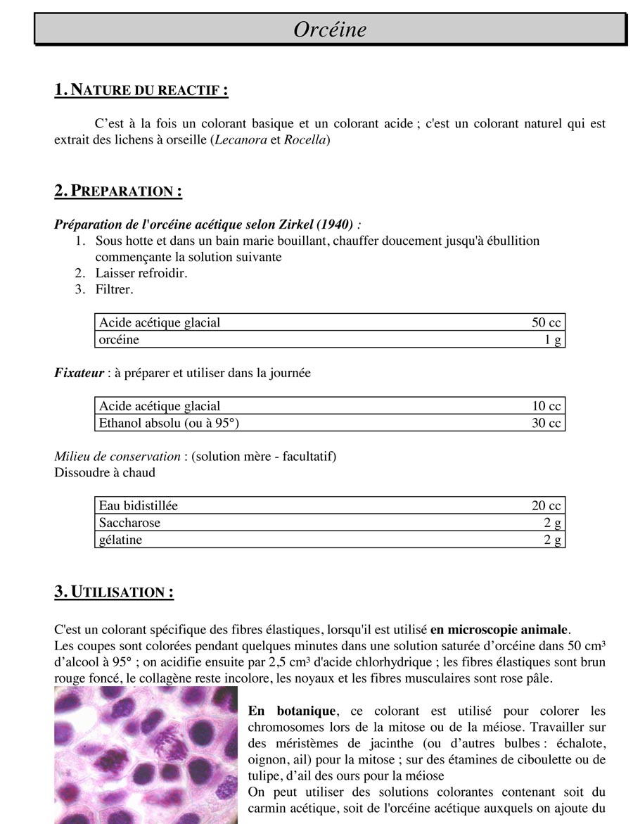 Orcéine