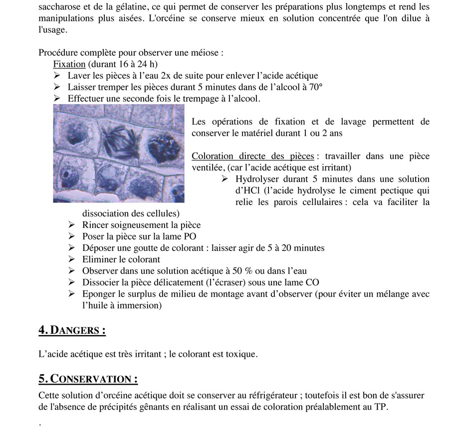 Orcéine