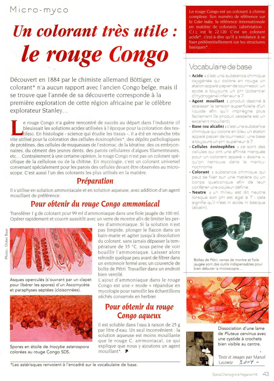 Rouge Congo