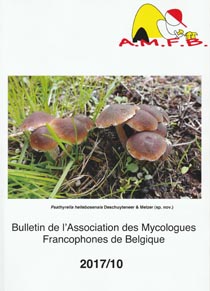 Le Bulletin AMFB