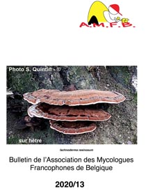 Le Bulletin AMFB