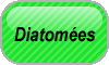 Diatomées