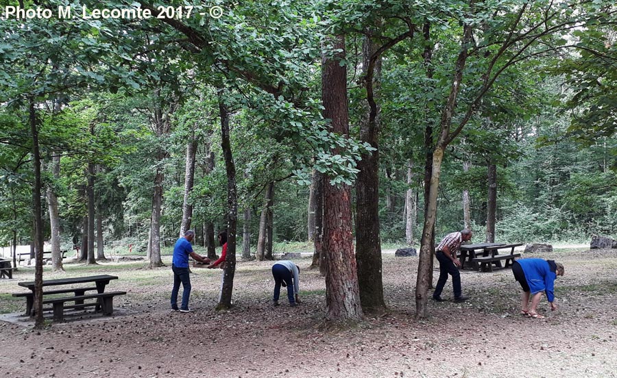 BBQ de l’AMFB à Fesches, le 24 juin 2017