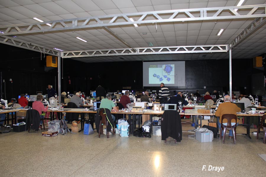 Congrès de microscopie 2021 à Massembre