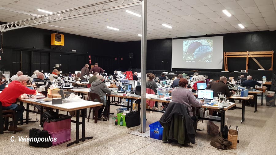 Congrès de microscopie 2022 à Massembre