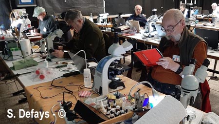 Congrès de microscopie 2025 à Massembre