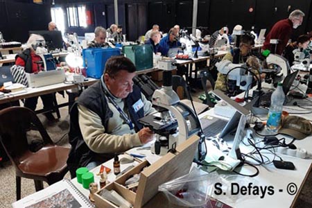 Congrès de microscopie 2025 à Massembre