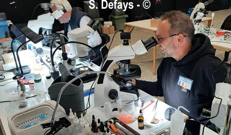 Congrès de microscopie 2025 à Massembre