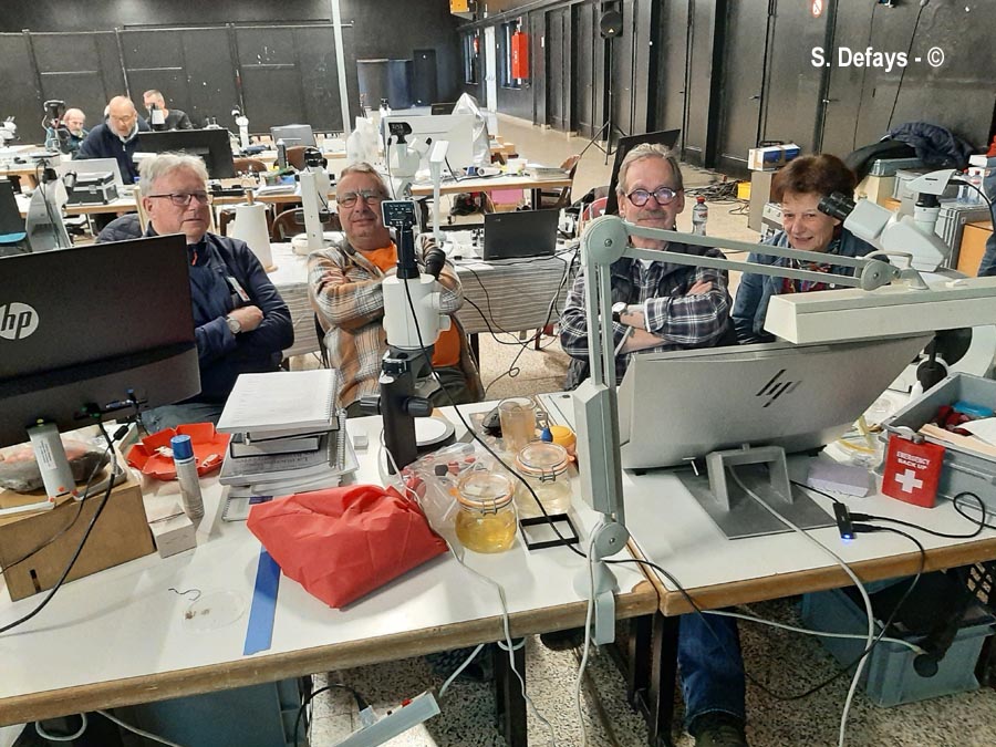 Congrès de microscopie 2025 à Massembre